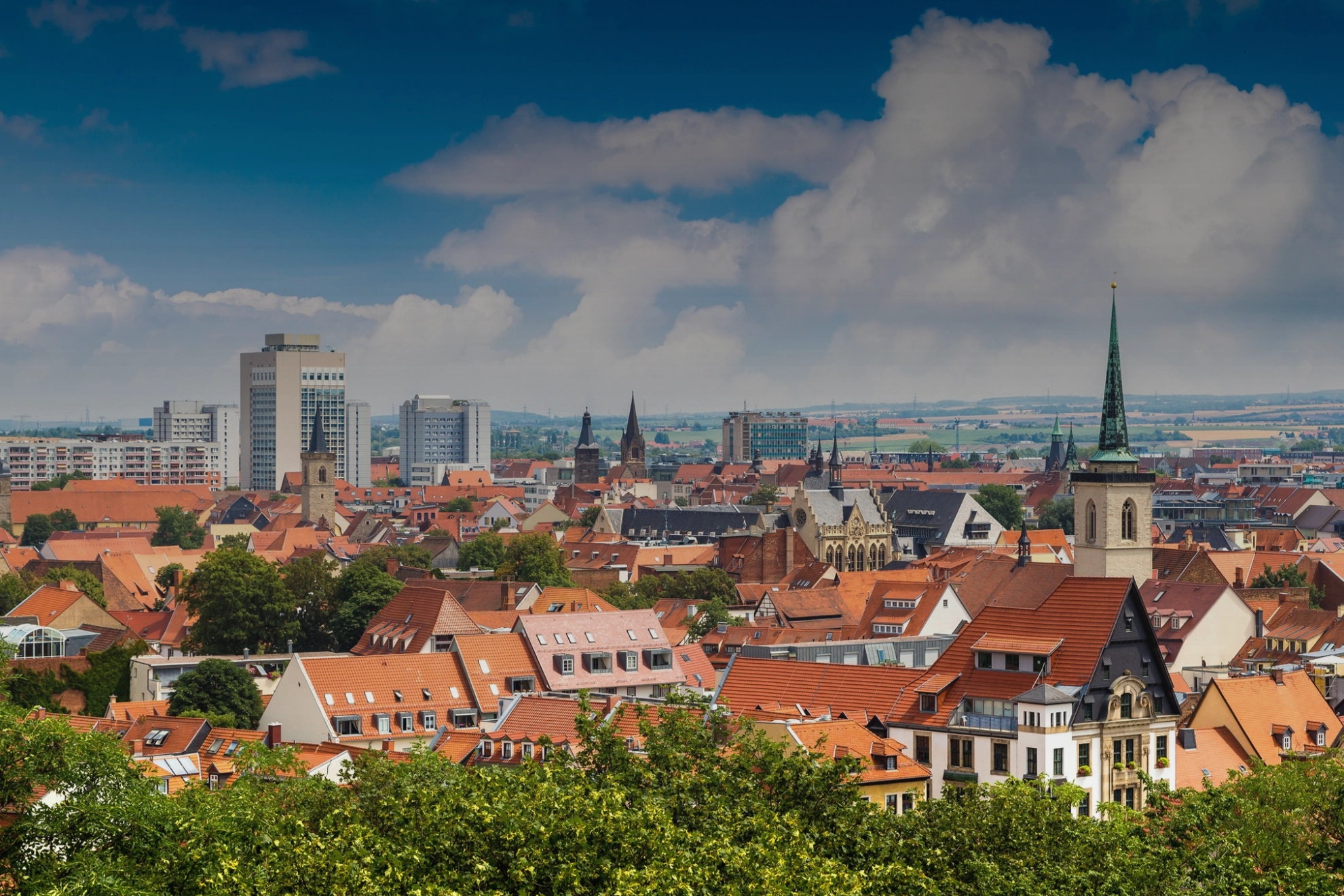 istockphoto-1676975636-2048x2048(Abgedunkelt)